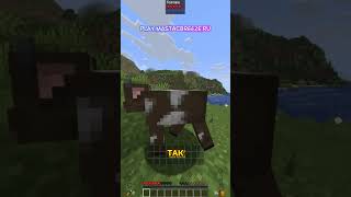 Превью видео «MastacBreeze SMP+» о сервере MastacBreeze